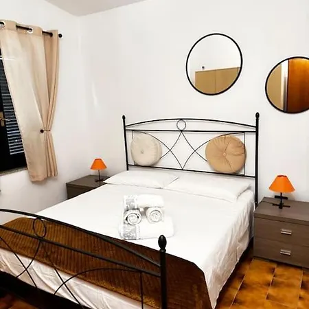 Birds * コスタ・レイ