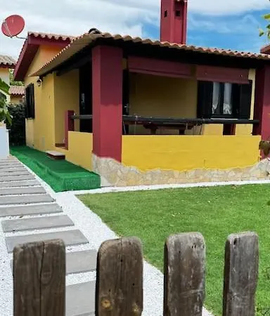 Birds * コスタ・レイ