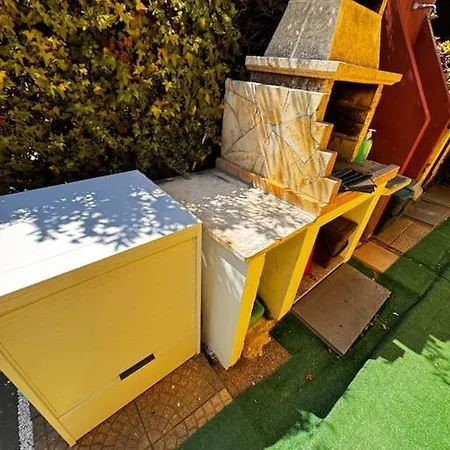 Birds コスタ・レイ