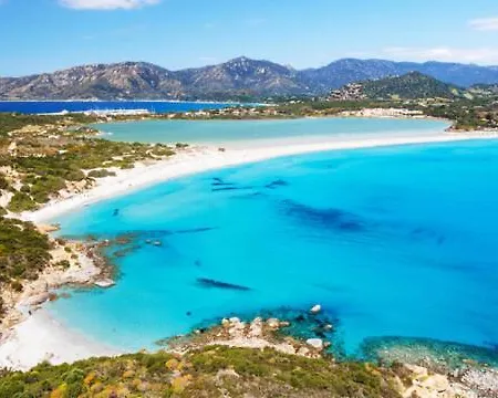 Birds * コスタ・レイ