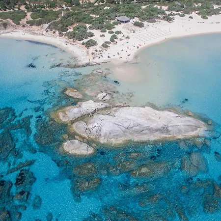 Birds كوستا ري