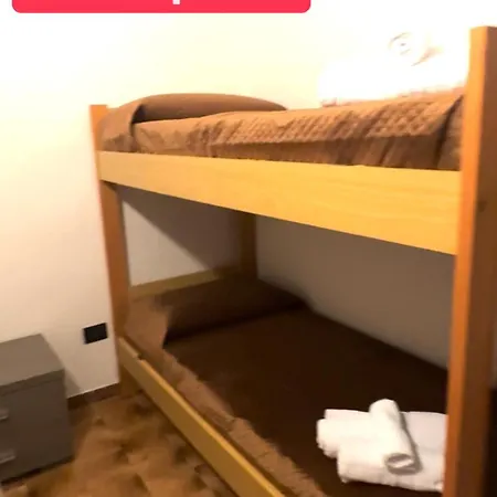 Birds بيت للعطل